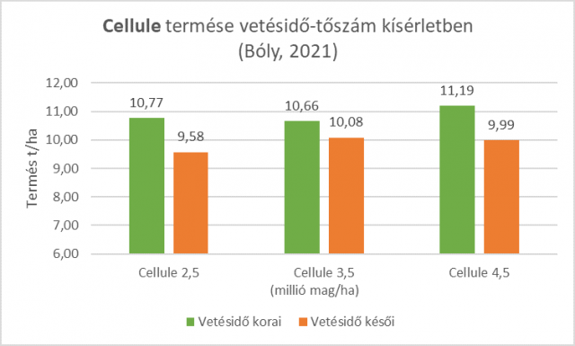 cellule-termes-vetesido-toszam-kiserletben-boly-2021.png