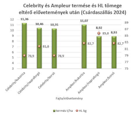 celebrity-es-ampleur-termese-es-hl-tomege.png