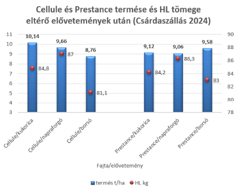 cellule-es-prestance-termes-es-hl-tomege.png