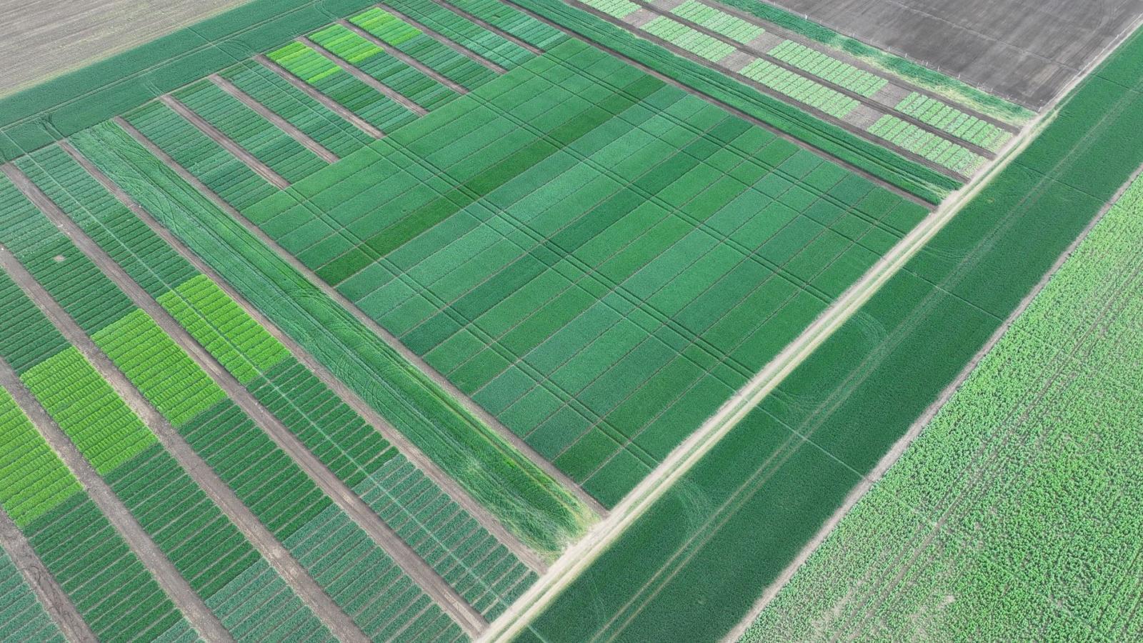 dji-20250507175605-0108-d-003-szelesm.jpg