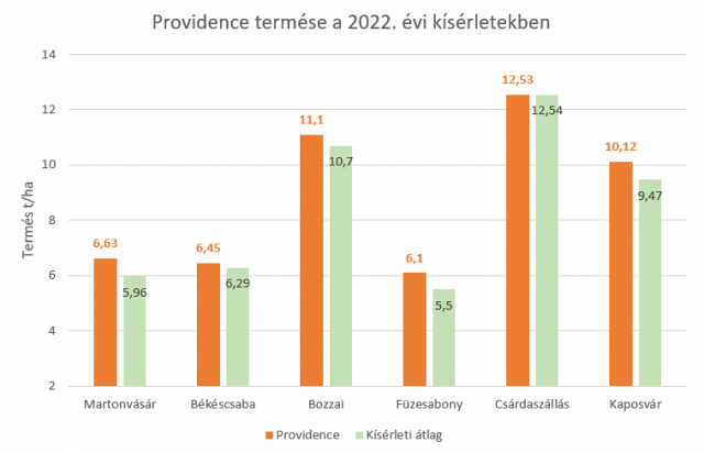 providence-termese-2022.png