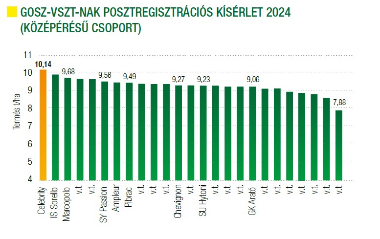 celebrity-gosz-vszt-nak-posztreg-2024.jpg