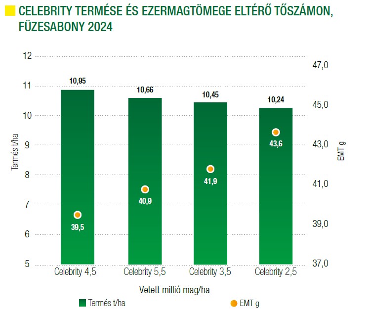 celebrity-termese-es-emt-eltero-toszamon-2024.jpg