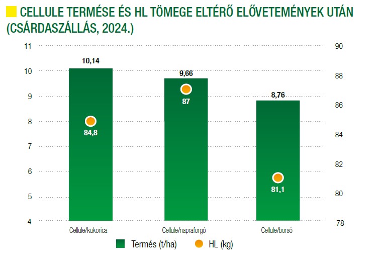 cellule-termese-es-hl-tomege-eltero-elovetemenyek-utan.jpg