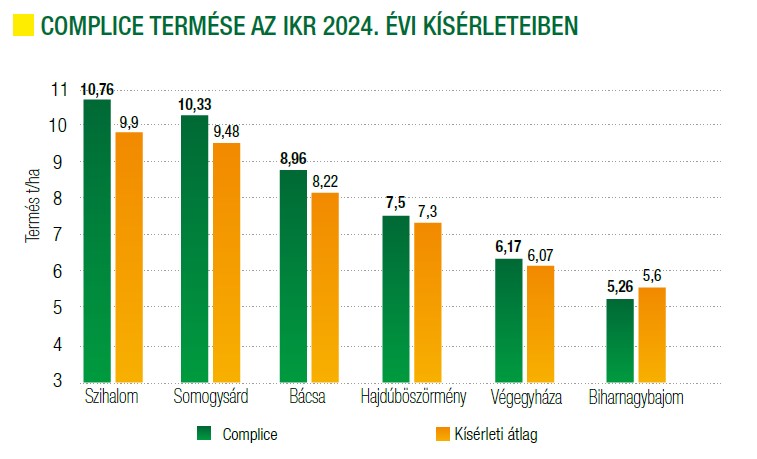 complice-termese-az-ikr-2024-evi-kiserleteiben.jpg