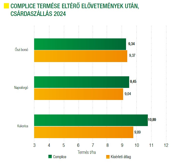 complice-termese-eltero-elovetemenyek-utan-2024.jpg