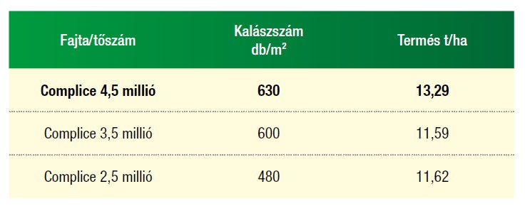complice-toszamkiserlet-2024.jpg