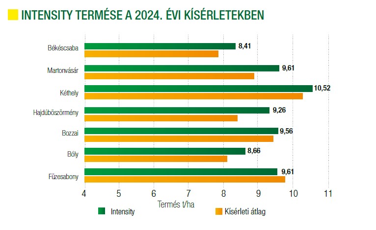 intensity-termese-2024.jpg