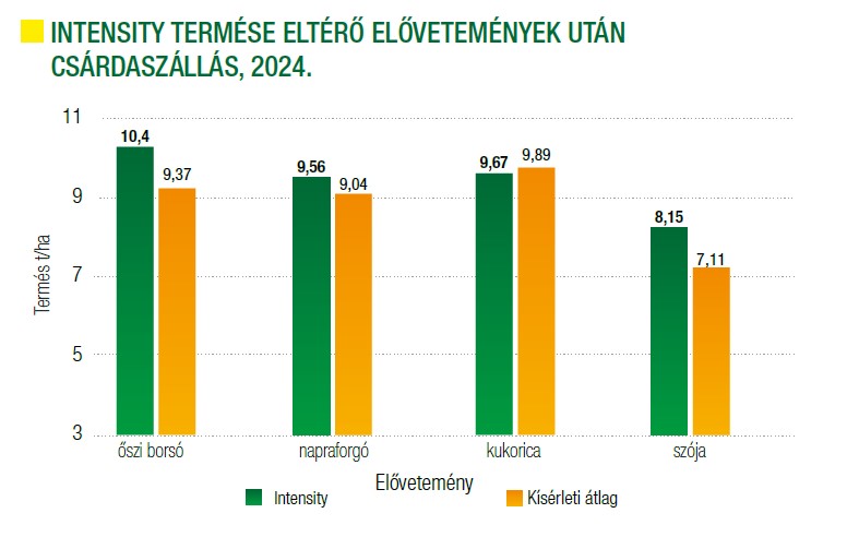 intensity-termese-eltero-elovetemenyek-utan-csszallas-2024.jpg
