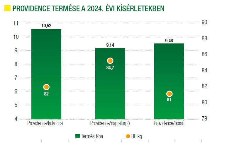 providence-termese-es-hl-tomege.jpg