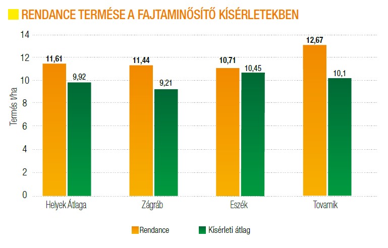 rendance-termese-2024.jpg