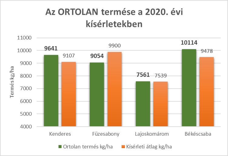 ortolan-2020.jpg