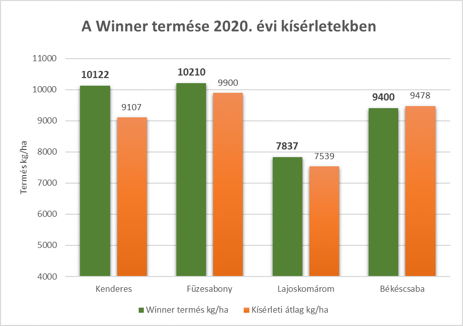 winner-2020.png