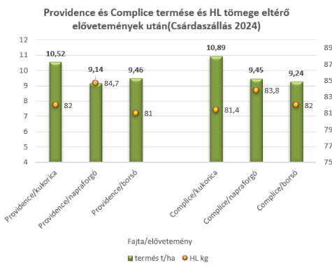 providence-es-complice-termese-es-hl-tomege.png