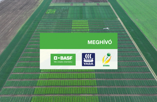 Őszi kalászos, őszi borsó, napraforgóhibrid és technológiai bemutató - Mezőberény