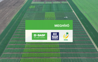 Őszi kalászos, őszi borsó, napraforgóhibrid és technológiai bemutató - Mezőberény