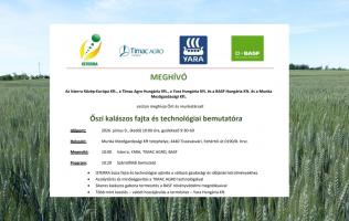 Őszi kalászos fajta és technológiai bemutató - Tiszavasvári