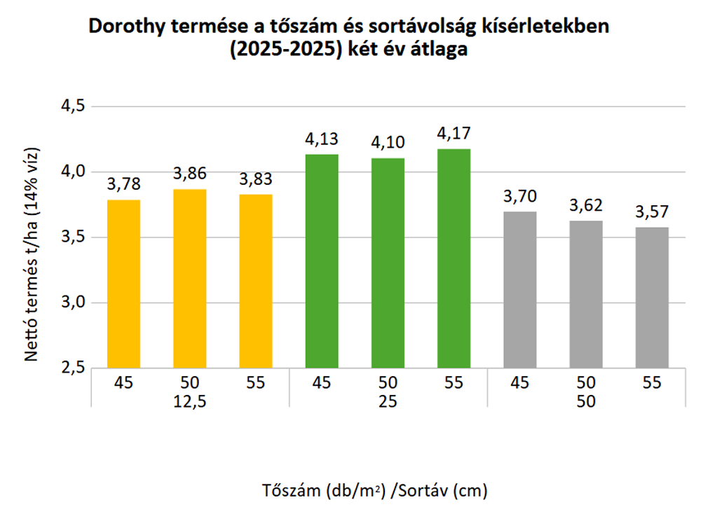 dorothy-tablazat-2.png
