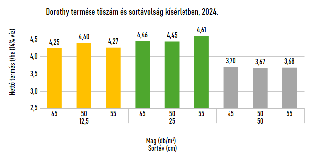 dorothy-termese-toszam-es-sortavolsag-kiserletben-2024.png