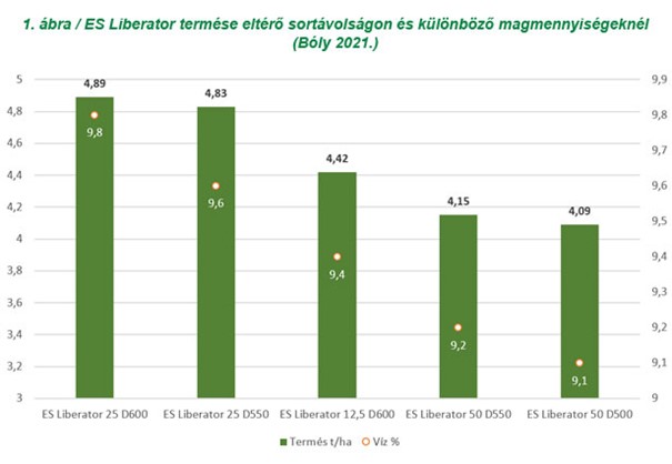 kep2.jpg