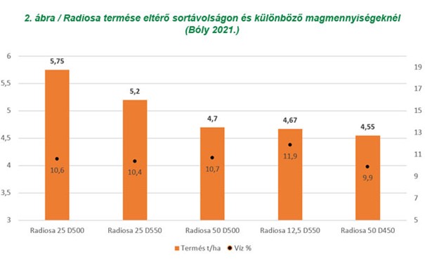 kep4.jpg