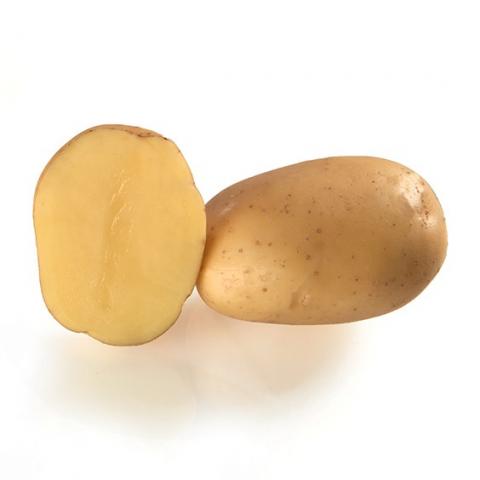 clairette.jpg