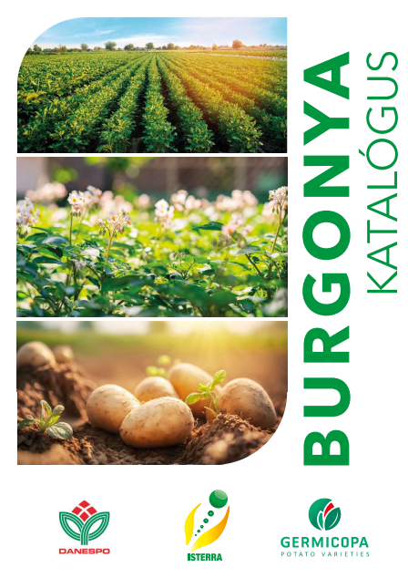 isterra-burgonya-katalógus